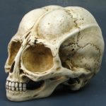 Alien Skull