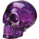 Purple Skull