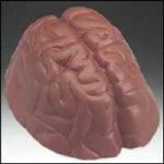 Chocolate Brain
