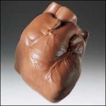 Chocolate Heart-Anatomical Chocolate