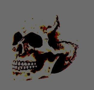 products- Bone Mini Skull - Image 1