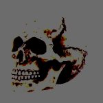 Bone Mini Sku