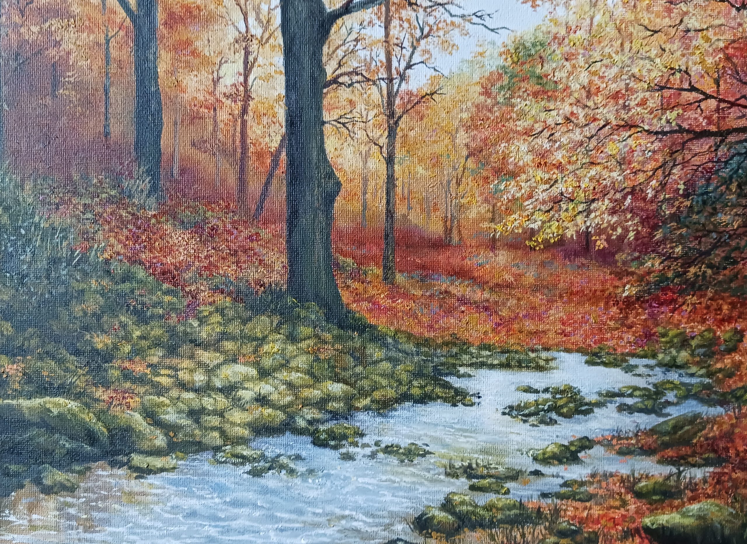 1 Autumn Forest Stream - Image 1