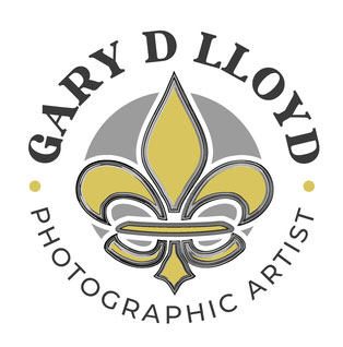 Gary D Lloyd