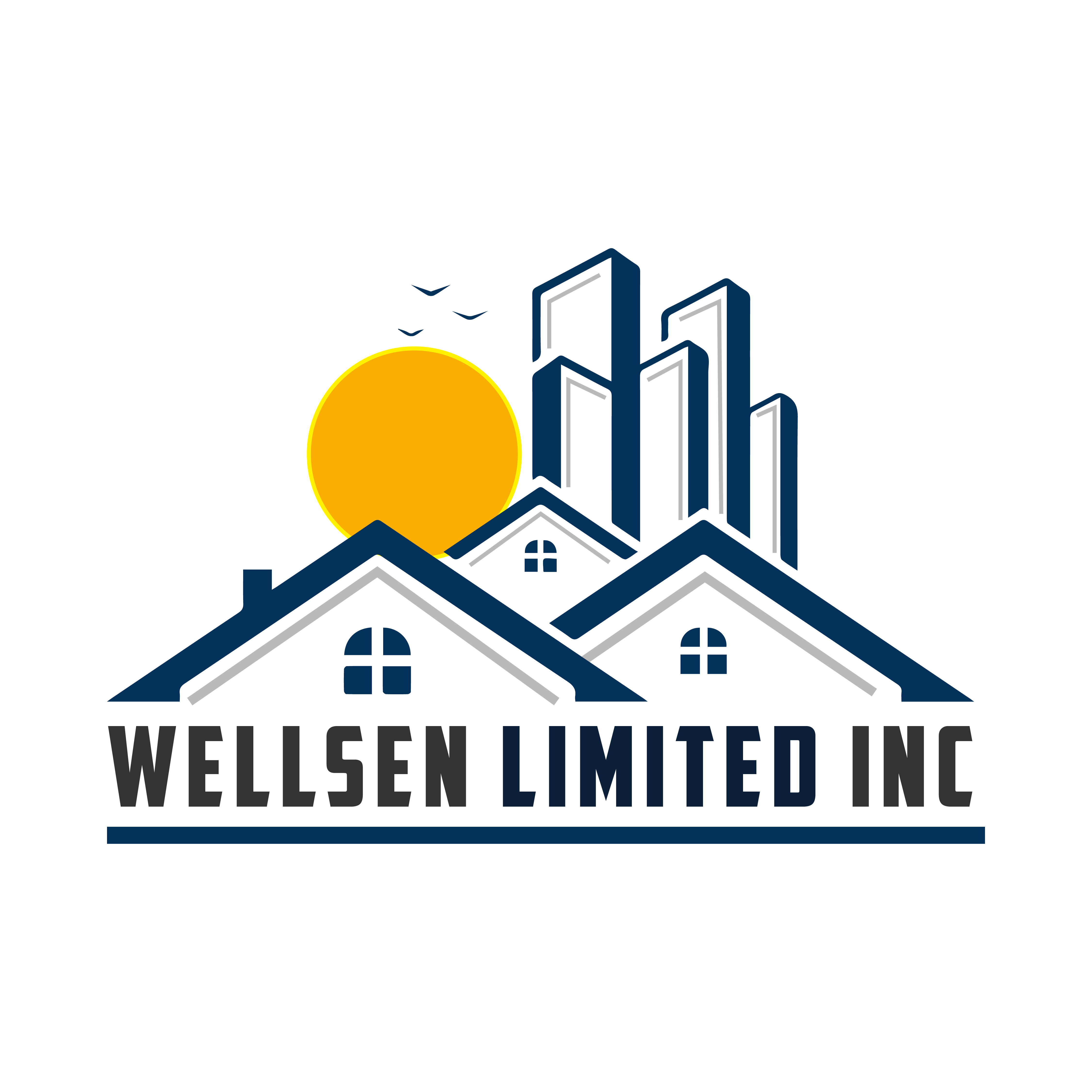 Wellsen Limited Inc